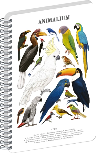 Notique spirálový blok Animalium – ptáci, čistý, A4