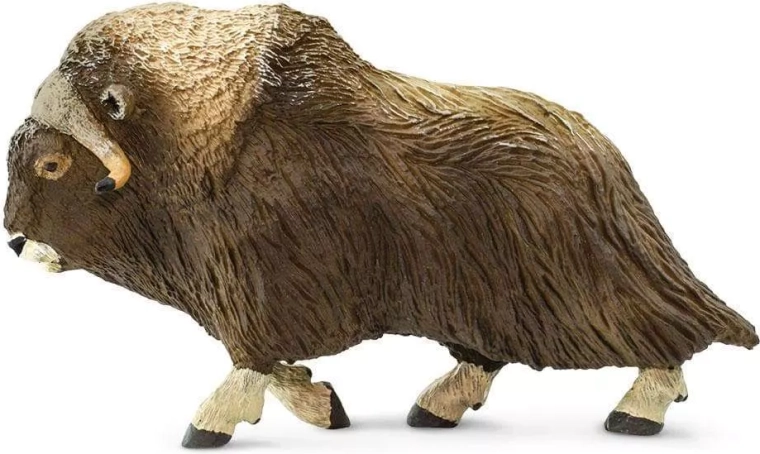 Safari Ltd. pižmoň severní figurka