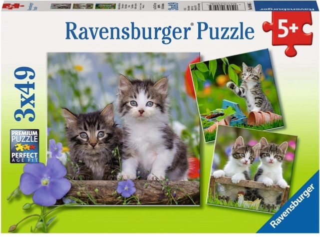 Ravensburger puzzle koťata 3×49 dílků