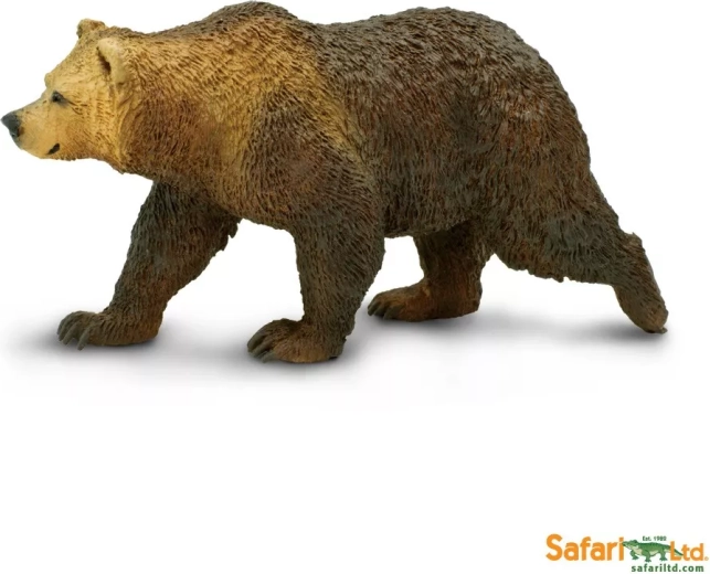 Medvěd grizzly