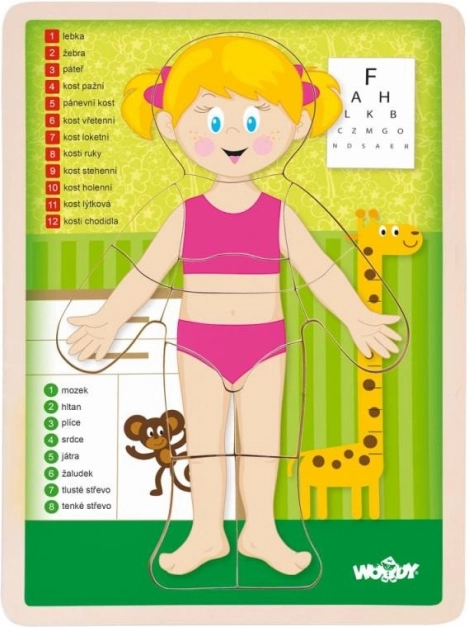Woody dřevěné oboustranné puzzle lidské tělo - dívka