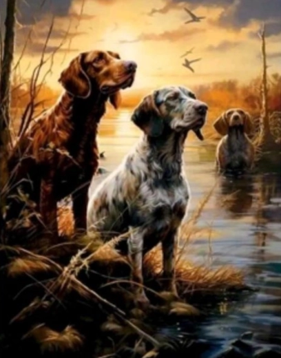 Diamantové malování Mokřady 30 × 40 cm