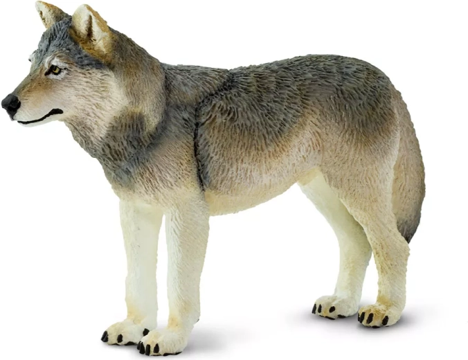Safari Ltd. figurka vlk šedý - 1 kus