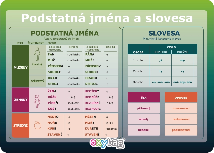 Vzdělávací karta A4 – podstatná jména a slovesa