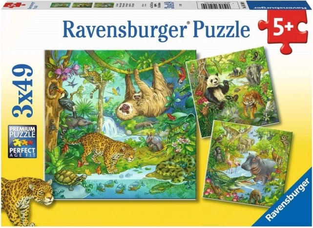 Ravensburger puzzle Zvířata v džungli 3×49 dílků