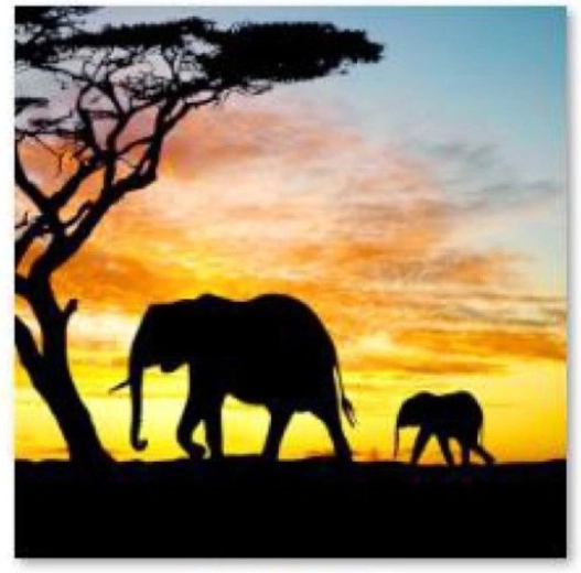 Diamantové vyšívání (diamond painting) – sloni 30 × 40 cm - 1 kus