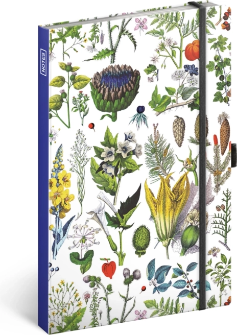 Notýsek Bylinky Kateřiny Winterové, tečkovaný, 13 × 21 cm