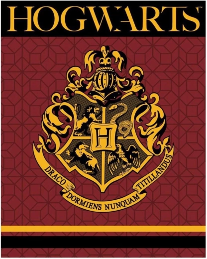Flísová deka Harry Potter XL