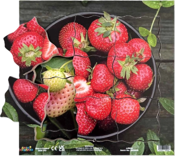 Just Jigsaws jahoda a její vegetativní růstové fáze – dřevěné vrstvené puzzle, 19 dílků