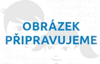 Schylling katalog hraček 2026 v angličtině