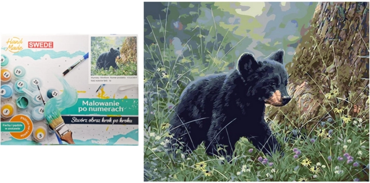 Malování podle čísel – hnědý medvěd