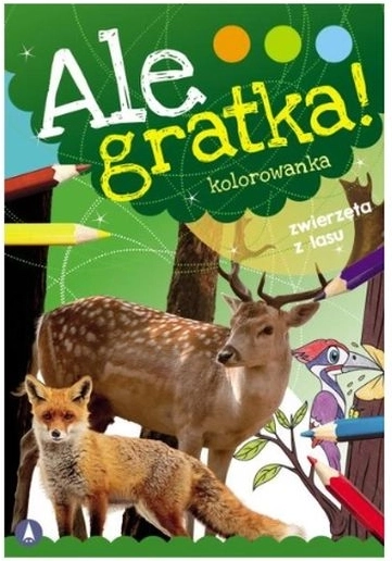 Ale gratka! omalovánky zvířata z lesa