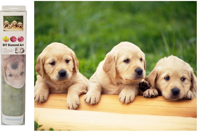 Diamantová mozaika Pejsci labradoři - 1 kus