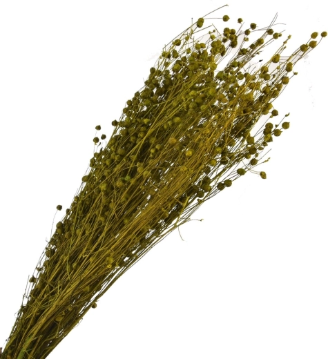 Sušená dekorativní tráva zelená 40–70 cm