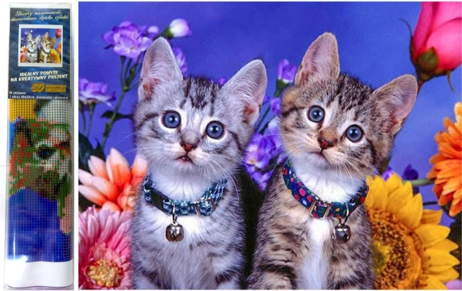 Diamantové malování Dvě koťata 30x40 cm