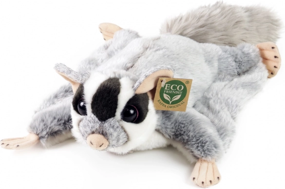 Plyšová vakoveverka létavá