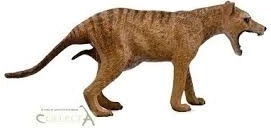 Collecta thylacine – samice (tygr tasmánský)