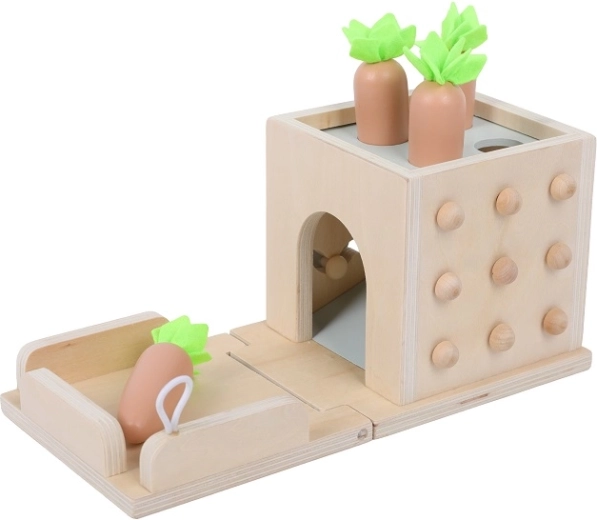 2Kids Toys multifunkční dřevěná vkládačka 8 v 1