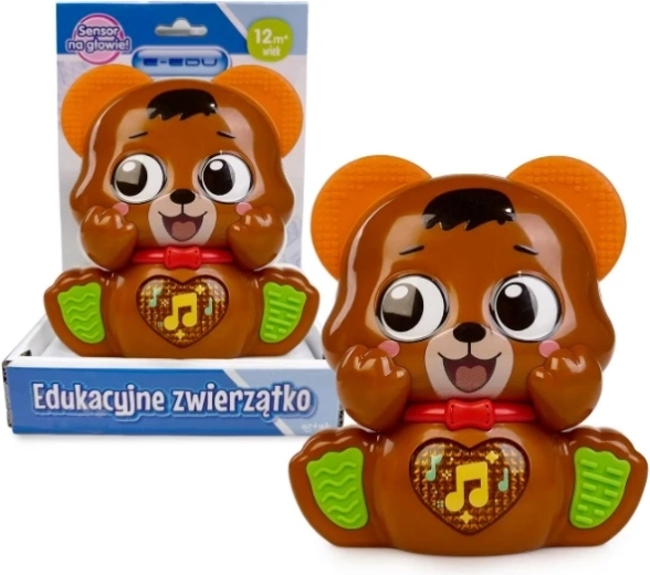 E-edu muzikální medvídek
