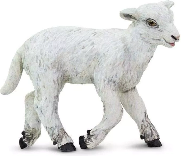 Safari Ltd. figurka ovce domácí - 1 kus