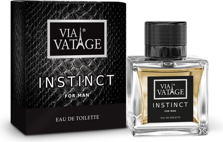 Pánská toaletní voda BI-ES Via Vatage Instinct 100 ml