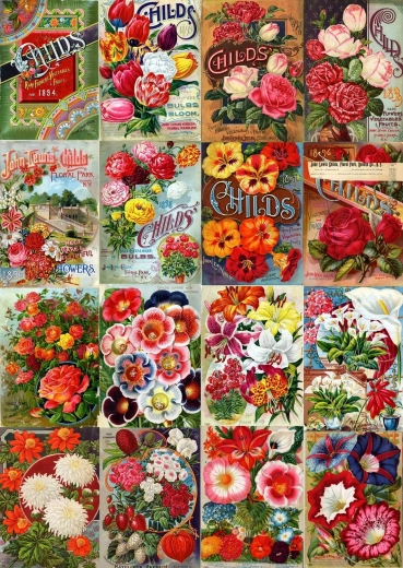Enjoy puzzle vintage katalog květinových semen 1000 dílků
