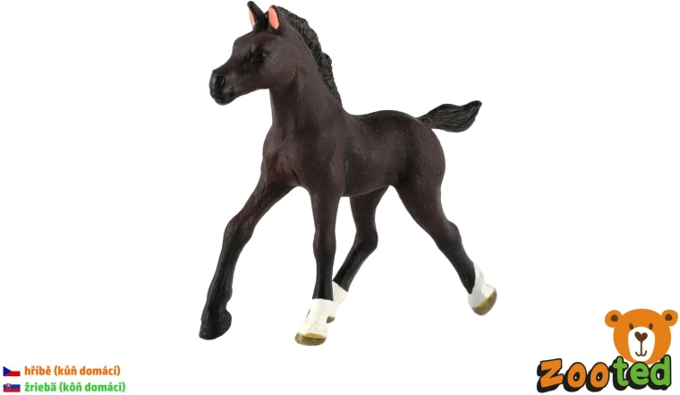 Hříbě domácího koně – plastová figurka 11 cm - 1 kus