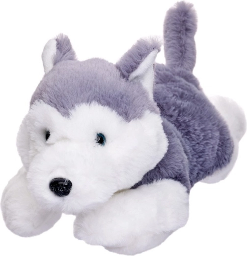 Plyšový pes husky ležící 35 cm