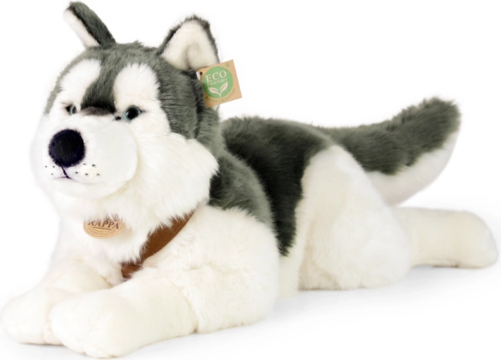 Plyšový pes Husky 60 cm ECO FRIENDLY