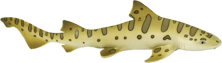 Safari Ltd. žralok leopardí - 1 kus