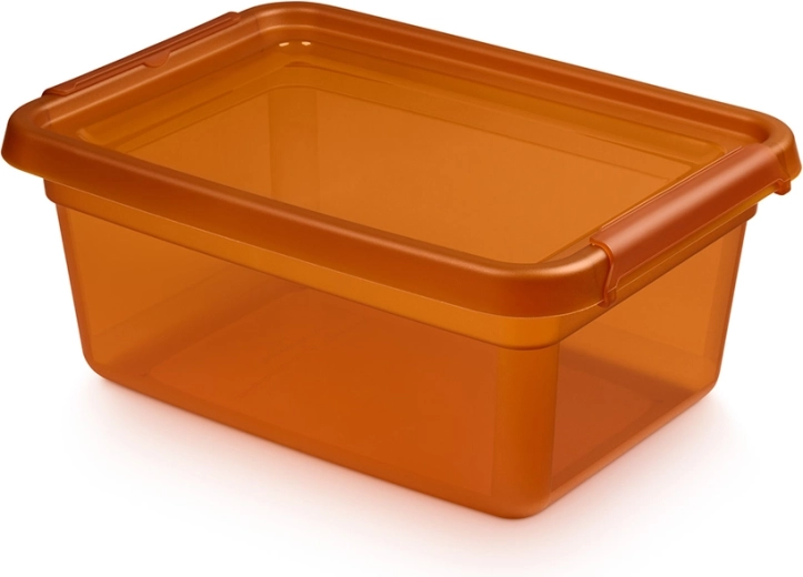 Basestore úložný box s víkem a klipsy amber 12,5 l