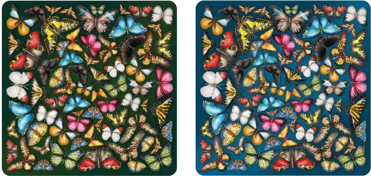 Oboustranné dřevěné puzzle Curiosi Double: motýli 165 dílků