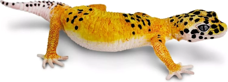 Safari Ltd. figurka gekončík noční