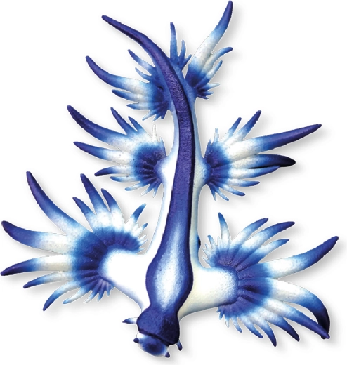 Bullyland modrý mořský slimák figurka