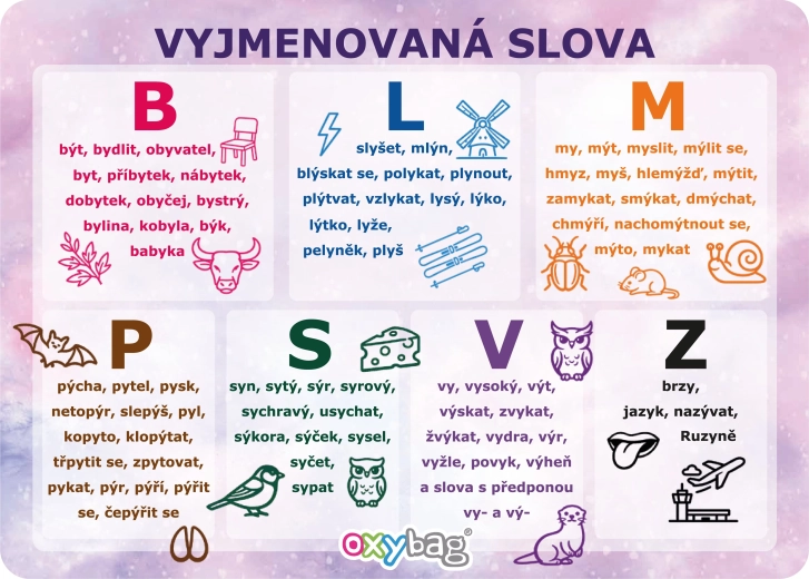 Vzdělávací karta a4 vyjmenovaná slova motiv Motýl - 1 kus