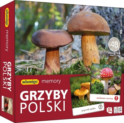 Pexeso Grzyby Polski – vzdělávací hra o polských houbách