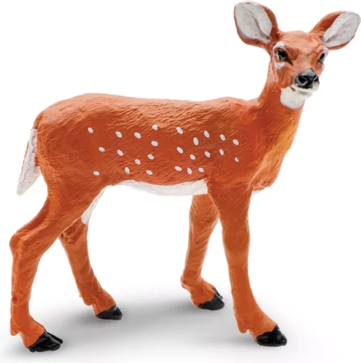 Kolouch běloocasý Safari Ltd.