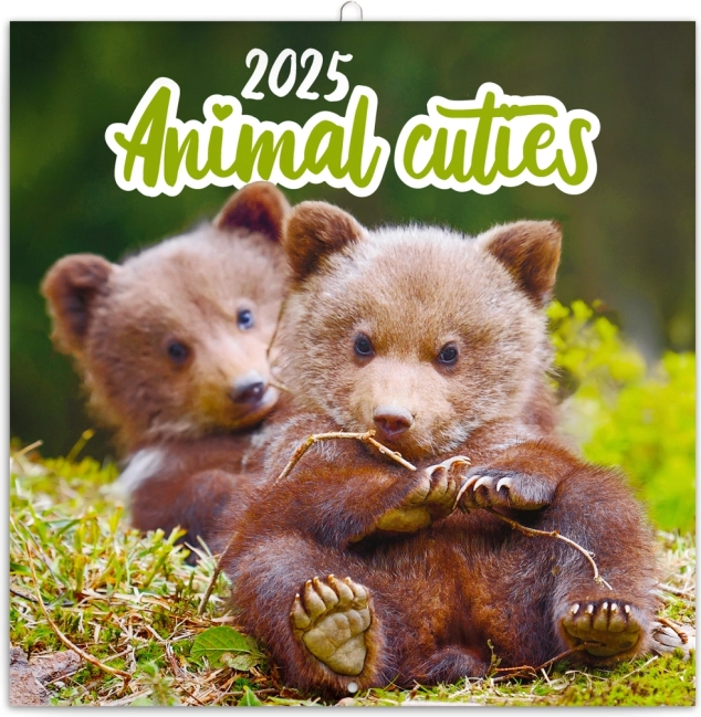 Nástěnný poznámkový kalendář Mláďata 2025, 30 × 30 cm