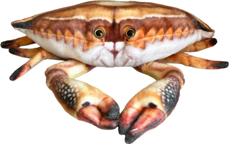 Plyšový krab 31 cm