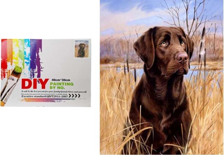 Malování podle čísel – pes v rákosí