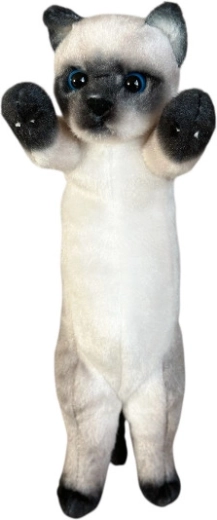 Plyšová kočka siamese 25 cm - 1 kus