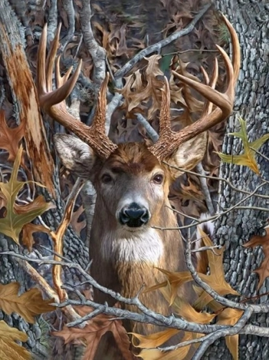 Diamantové malování – jelenův pohled 30 × 40 cm