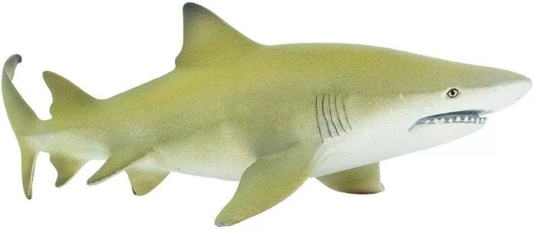Figurka žraloka citronového Safari Ltd.