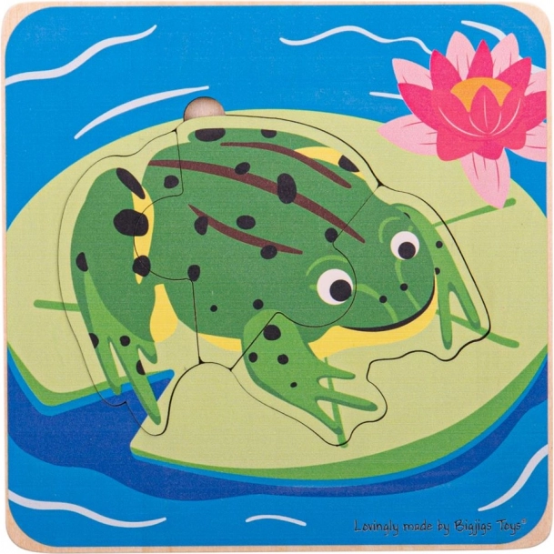 Puzzle pro děti životní cykly žáby Bigjigs Toys