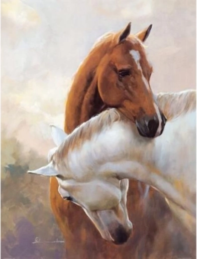 Diamantové vyšívání (diamond painting) – dva koně 30 × 40 cm - 1 kus