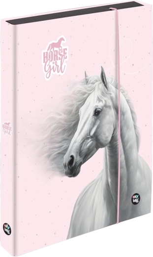 Box na sešity A5 Jumbo Kůň Romantic