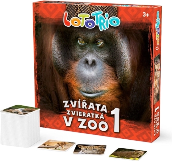 Lototrio zvířata v zoo 1 - 1 kus
