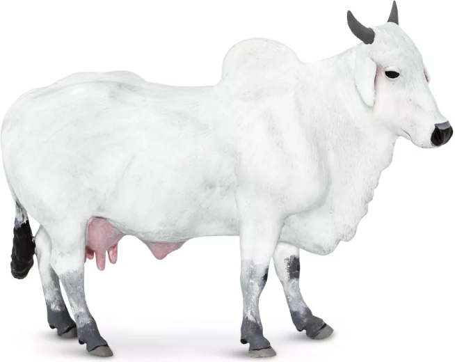 Figurka tura domácího (zebu) Safari Ltd. - 1 kus