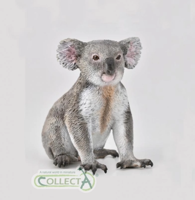 Kolekce Koala