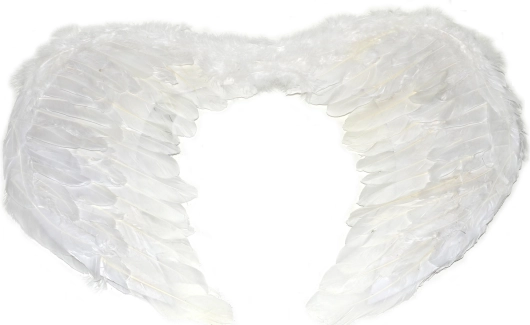 Velká andělská křídla